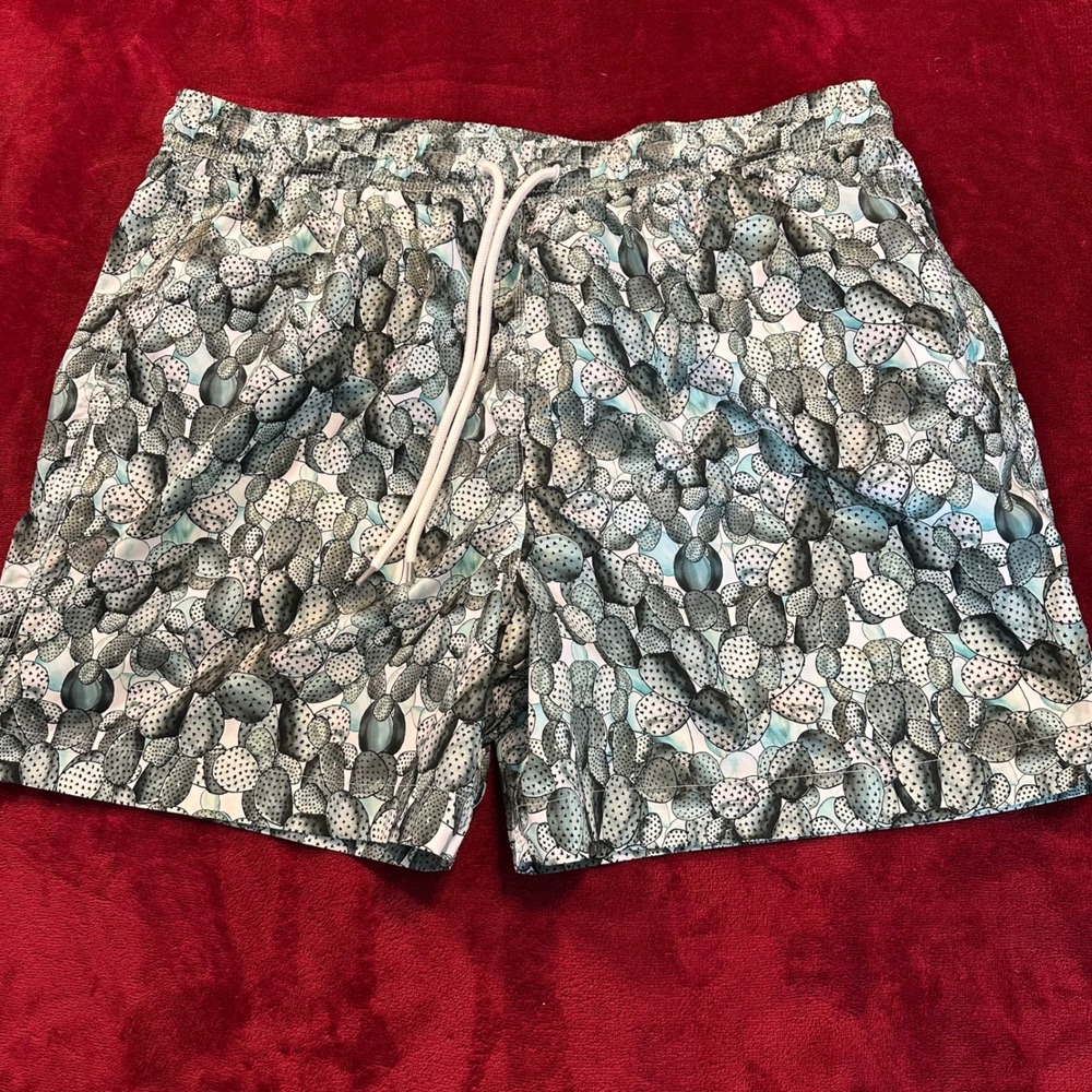 Brooks Brothers Mens XXL Cactus Print Swim Trunks Green Blue Mesh Lined‎